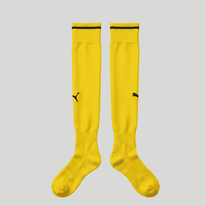 26/27 Yellow Goalkeeper Socks