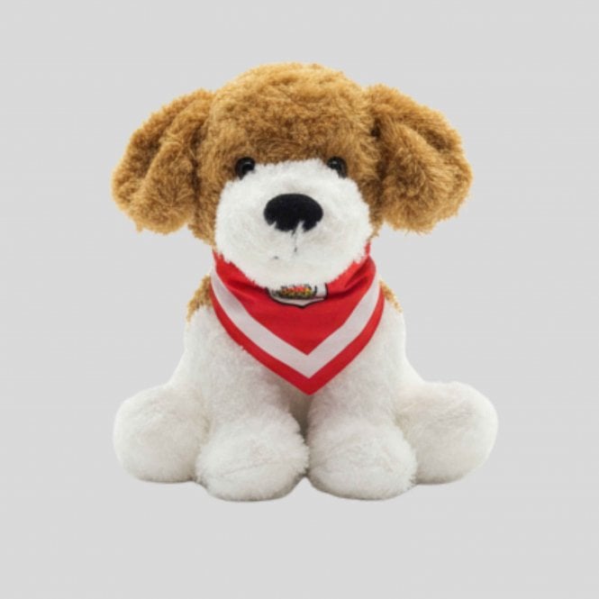 Crewe Alexandra Plush Puppy