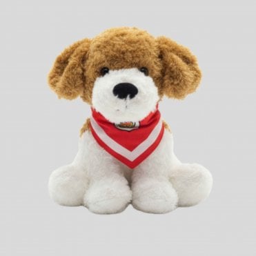 Crewe Alexandra Plush Puppy