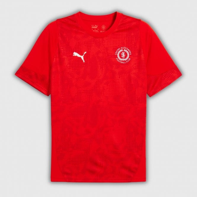 Puma 25/26 Adult Cup Training Jersey - Red