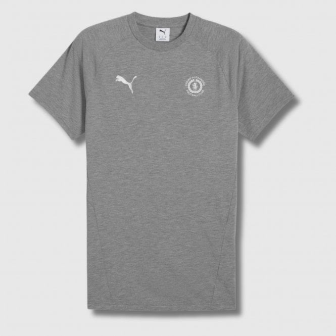 Puma 25/26 Adult Evo Stripe T-Shirt - Grey