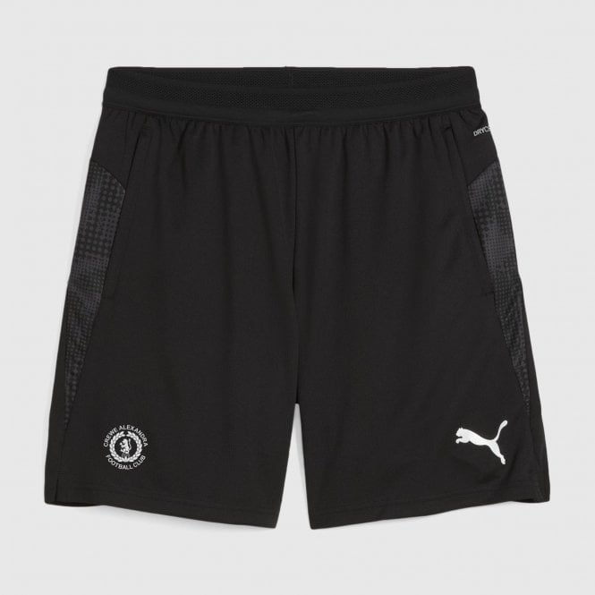 Puma 25/26 Adult Team Cup Training Shorts