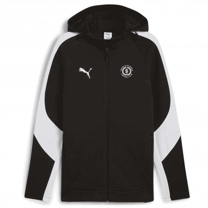 Puma 25/26 Junior Evo Stripe Jacket