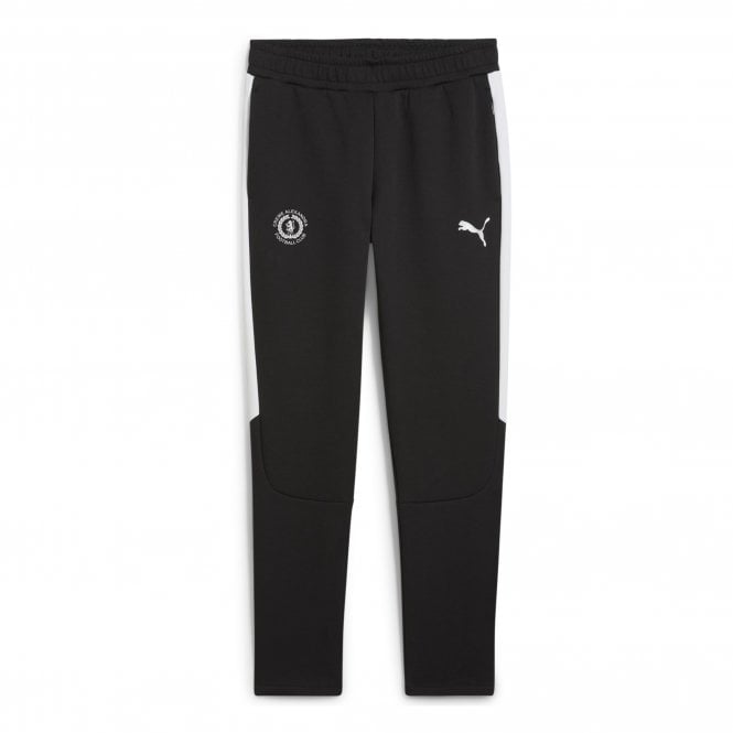 Puma 25/26 Junior Evo Stripe Pants