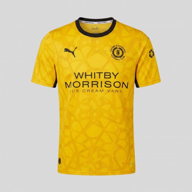 Puma 26/27 Yellow Goalkeeper Shirt