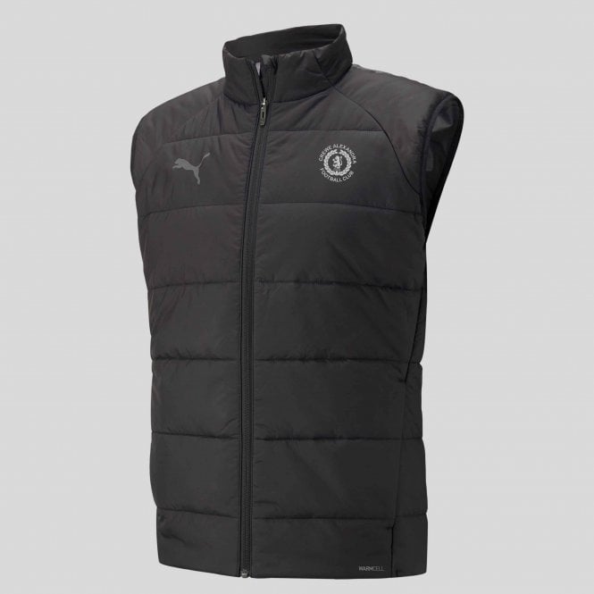 Puma Adult Team Liga Gilet